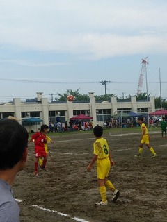 IMG_20190728_112901.jpg