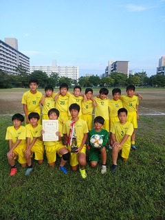 IMG_20190728_173115.jpg