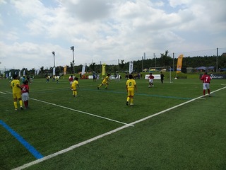 IMG_20190825_110353.jpg