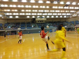 IMG_20200215_104546.jpg