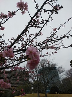 IMG_20200215_140740.jpg