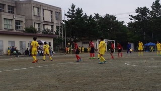 IMG_20191103_123605.jpg