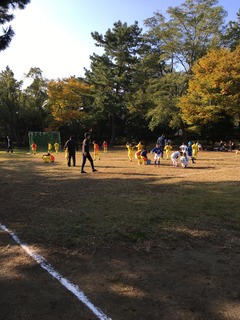 IMG_2622.JPG