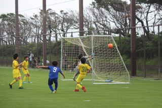 IMG_2893.JPG