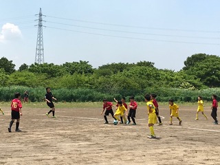 IMG_4530.JPG