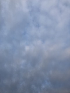IMG_4722.jpg