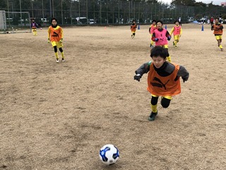 IMG_4738.jpg
