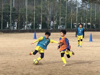 IMG_4740.jpg