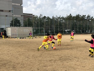 IMG_4747.jpg