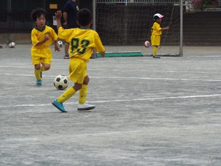 IMG_0022.JPG