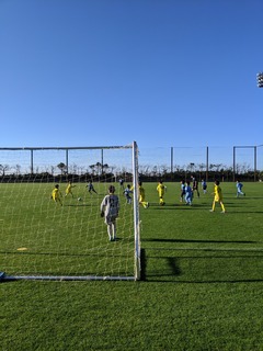IMG_20191208_085353.jpg
