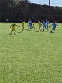 IMG_20191208_105843-ba845.jpg