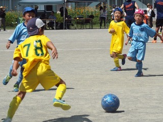 IMG_2505.JPG