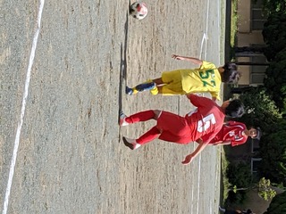 PXL_20210508_011634407.jpg