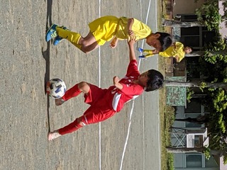 PXL_20210508_011646750.MP.jpg
