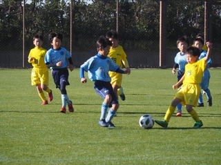 line_1963315151415154.jpg
