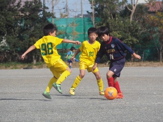 line_75454850523640.jpg