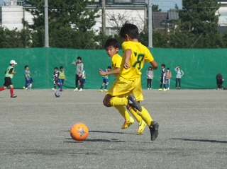 line_75456708146534.jpg