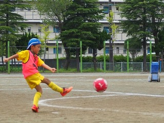 1537150408790.jpg