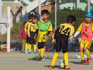 1548152035798.jpg