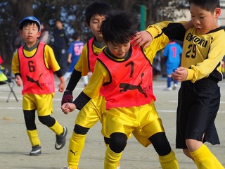 1548152211241.jpg