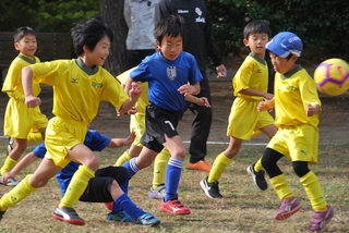 20181118 CFCカップ_181121_0028.jpg