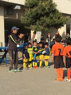 CFC11.jpg
