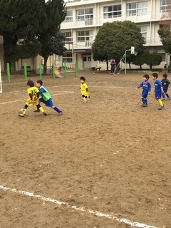 CFC8.jpg