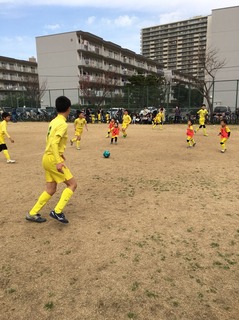 image_6483441.JPG