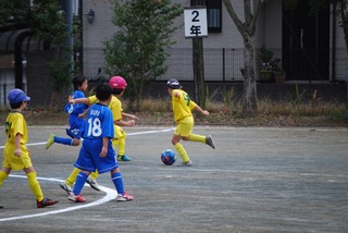 2434F66E-EC5F-4888-A076-CF2ED0608B0B.jpeg