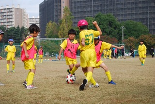 CD440985-3A99-42AF-B3E2-B5390A31F775.jpeg