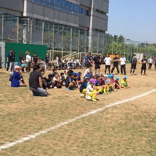 CFC1.jpg
