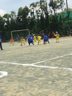 CFC7.jpg