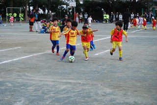DSC_1281.jpg