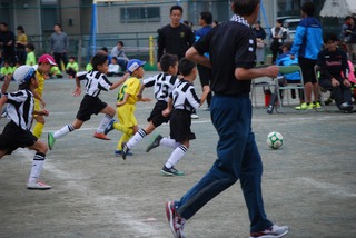 DSC_1336.jpg