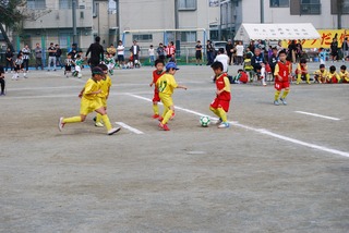 DSC_1385.jpg