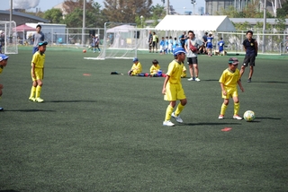 cd21f64e23e85f34eca90f97df474f786_20579936_191006_0002.jpg