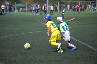 cd21f64e23e85f34eca90f97df474f786_20579936_191006_0010.jpg