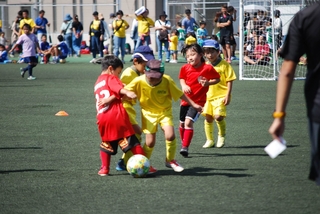 cd21f64e23e85f34eca90f97df474f786_20579936_191006_0040.jpg