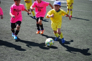 cd21f64e23e85f34eca90f97df474f786_20579936_191006_0045.jpg