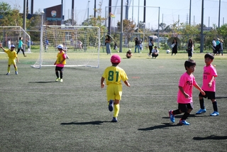 cd21f64e23e85f34eca90f97df474f786_20579936_191006_0046.jpg