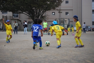 cd21f64e23e85f34eca90f97df474f786_20590654_191006_0002.jpg