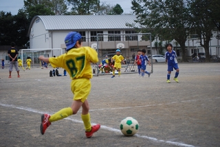 cd21f64e23e85f34eca90f97df474f786_20590654_191006_0006.jpg