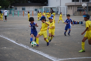 cd21f64e23e85f34eca90f97df474f786_20590654_191006_0031.jpg