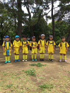 cfc1.jpg