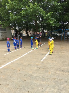 cfc3.jpg