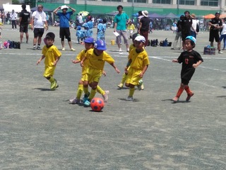 cfc9.jpg