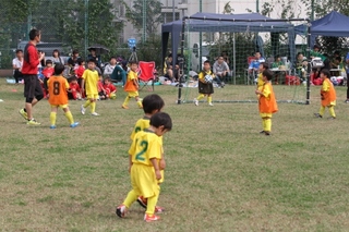 IMG_5129 (640x427).jpg